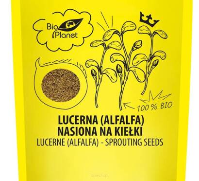 Alfalfa - Lucerna