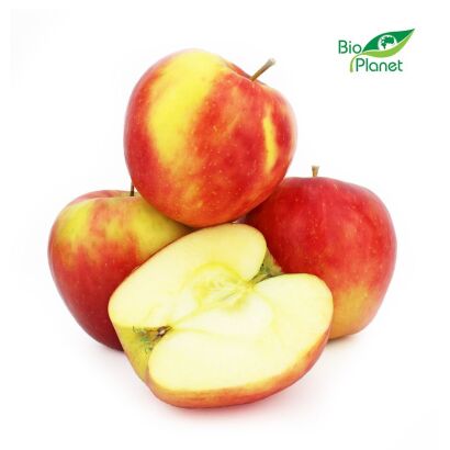 OPAKOWANIE ZBIORCZE (kg) - JABŁKA ŚWIEŻE BIO (ANTONÓWKA - POLSKA) (około 13 kg)