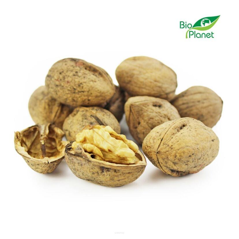 OPAKOWANIE ZBIORCZE (kg) - ORZECHY WŁOSKIE W ŁUPINIE BIO (POLSKA) (około 5 kg)