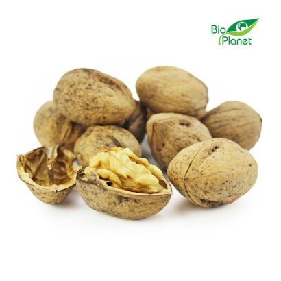 OPAKOWANIE ZBIORCZE (kg) - ORZECHY WŁOSKIE W ŁUPINIE BIO (POLSKA) (około 5 kg)