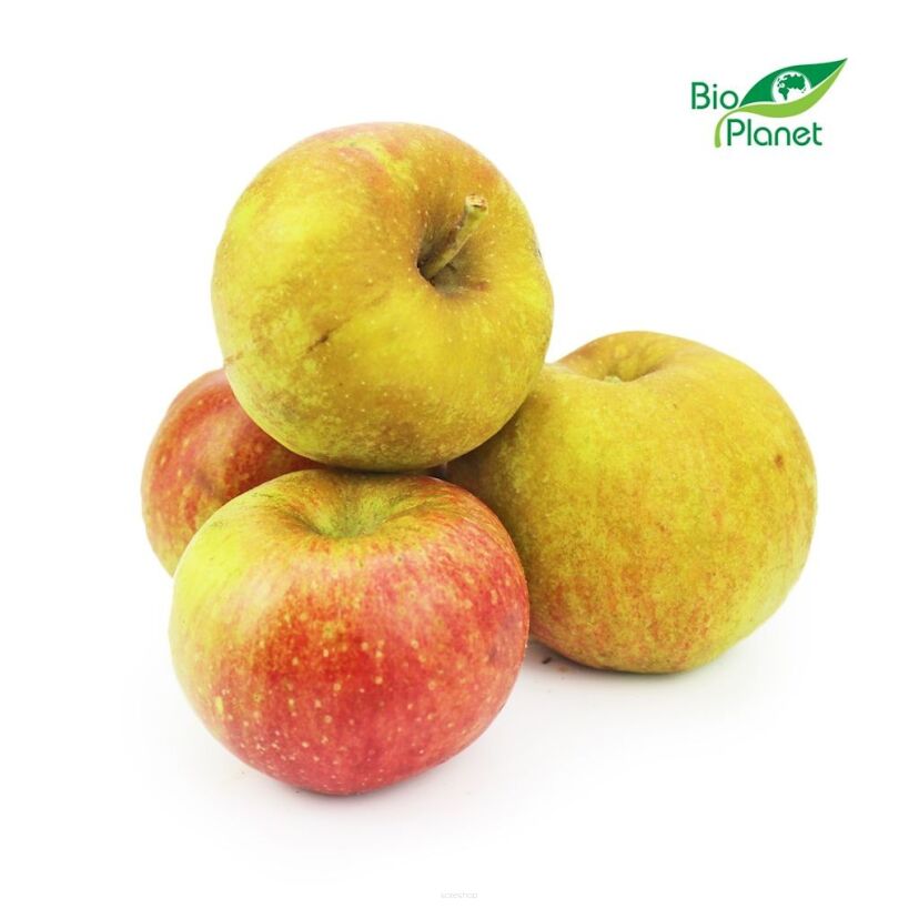 OPAKOWANIE ZBIORCZE (kg) - JABŁKA ŚWIEŻE BIO (BOSKOP - POLSKA) (około 13 kg)