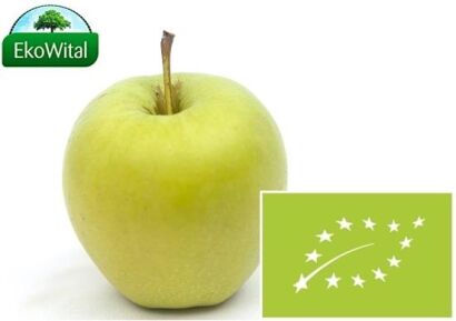 Jabłka antonówka BIO 1 kg