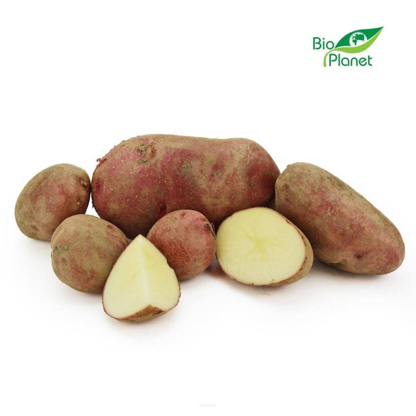 OPAKOWANIE ZBIORCZE (kg) - ZIEMNIAKI MŁODE ŚWIEŻE BIO (około 12,5 kg)