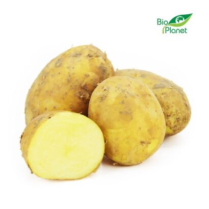 OPAKOWANIE ZBIORCZE (kg) - ZIEMNIAKI ŻÓŁTE MŁODE ŚWIEŻE BIO (POLSKA) (około 10 kg)