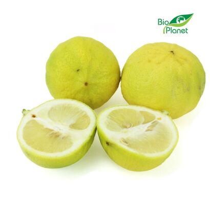 BERGAMOTKA ŚWIEŻA BIO (około 0,60 kg)