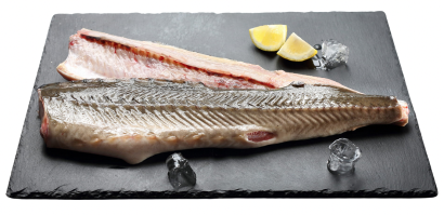 JESIOTR PŁAT (około 0,40 kg) - SMOLIN FISH (NA ZAMÓWIENIE)