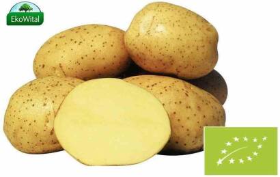 Ziemniak wczesny BIO IMPORT 1 kg #
