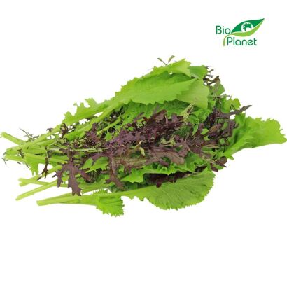 MUSZTARDOWIEC ŚWIEŻY BIO (POLSKA) (około 100 g)