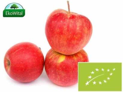 Jabłka Szampion BIO 1 kg
