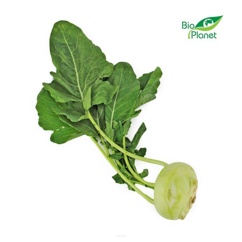 KALAREPA ŚWIEŻA BIO (około 0,40 kg)