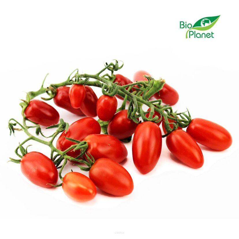 OPAKOWANIE ZBIORCZE (kg) - POMIDORY DAKTYLOWE NA GAŁĄZCE ŚWIEŻE BIO (POLSKA) (około 3 kg)
