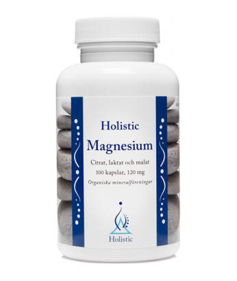 Magnesium - magnez 120 mg (100 kaps.) Holistic